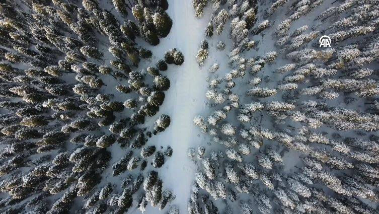 Ilgaz Dağı'nda kartpostallık görüntüler - Resim: 13